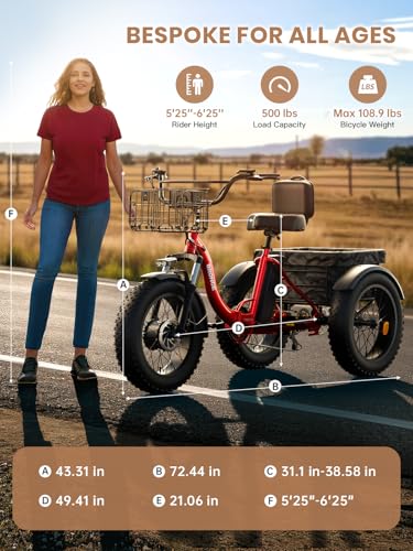 Electric Trike 20" Fat Tire 3 Wheel Folding Electric Tricycle I502