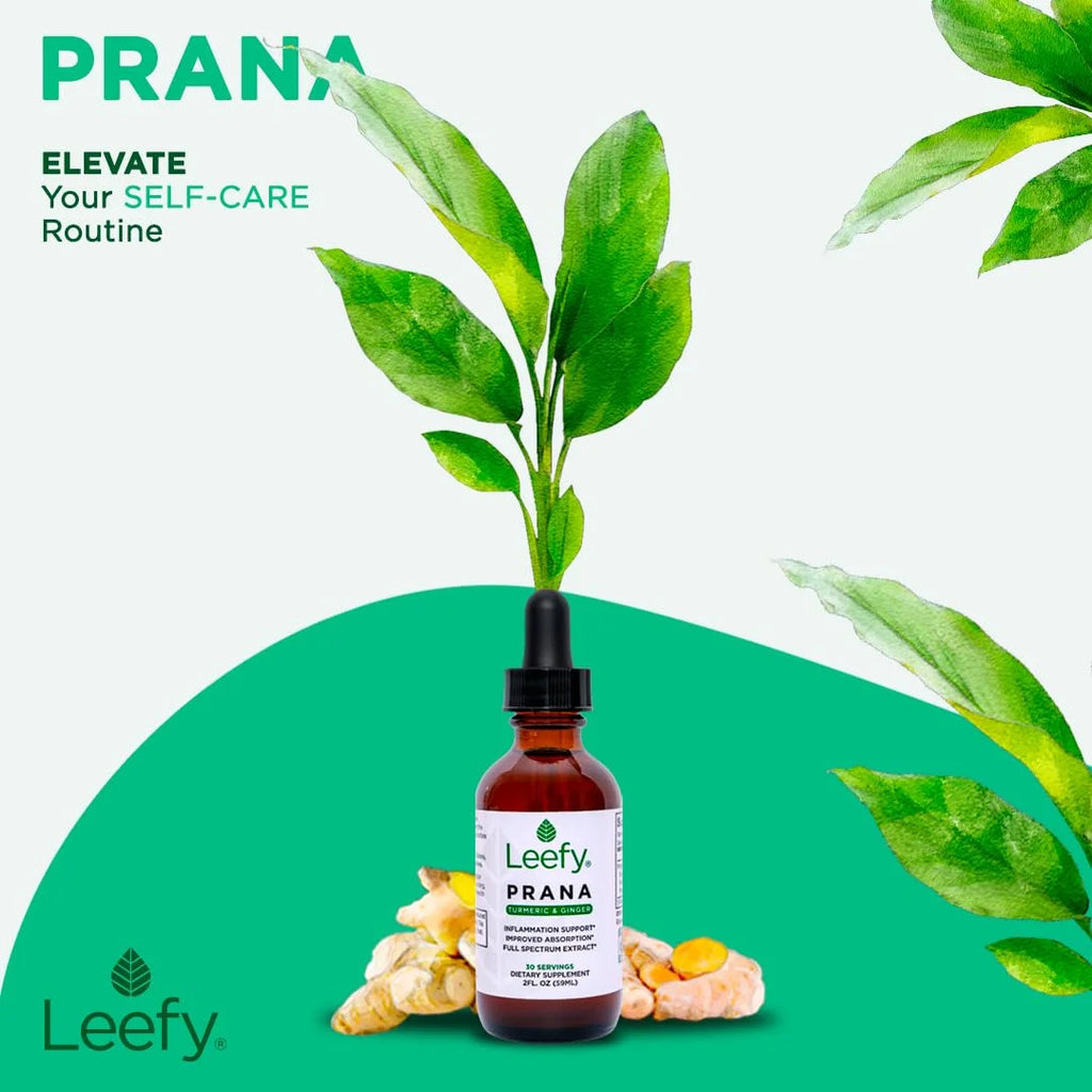 PRANA P3097
