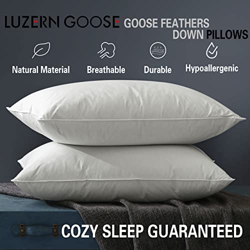Queen Size 2 Pack Down Feather Pillow with 100% Cotton Cover W53777