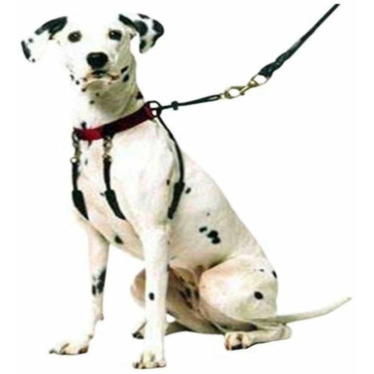 Training Halter I250