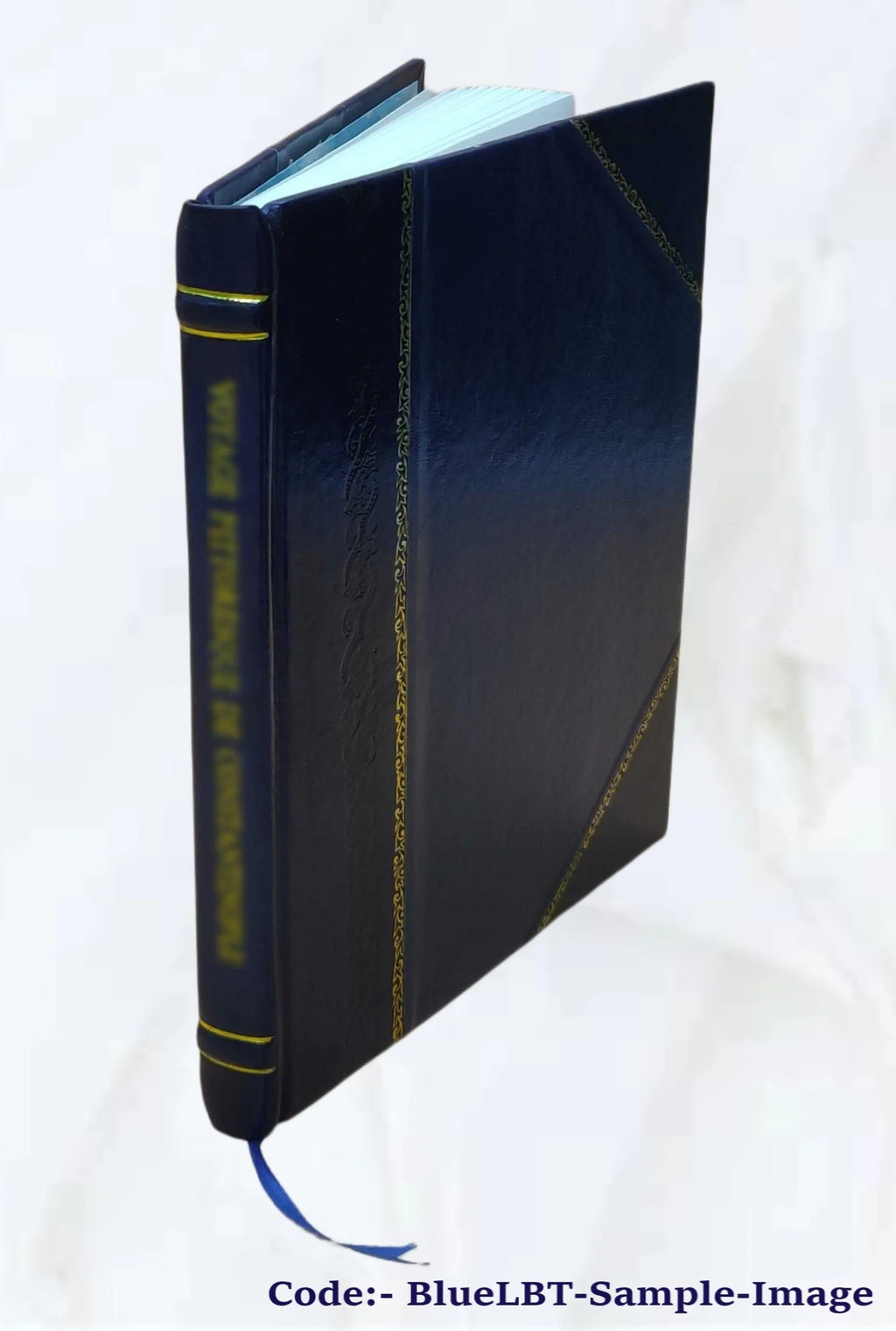 Leather Bound Book H26391