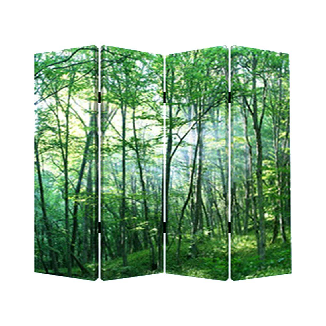 Forrest Screen Y573453