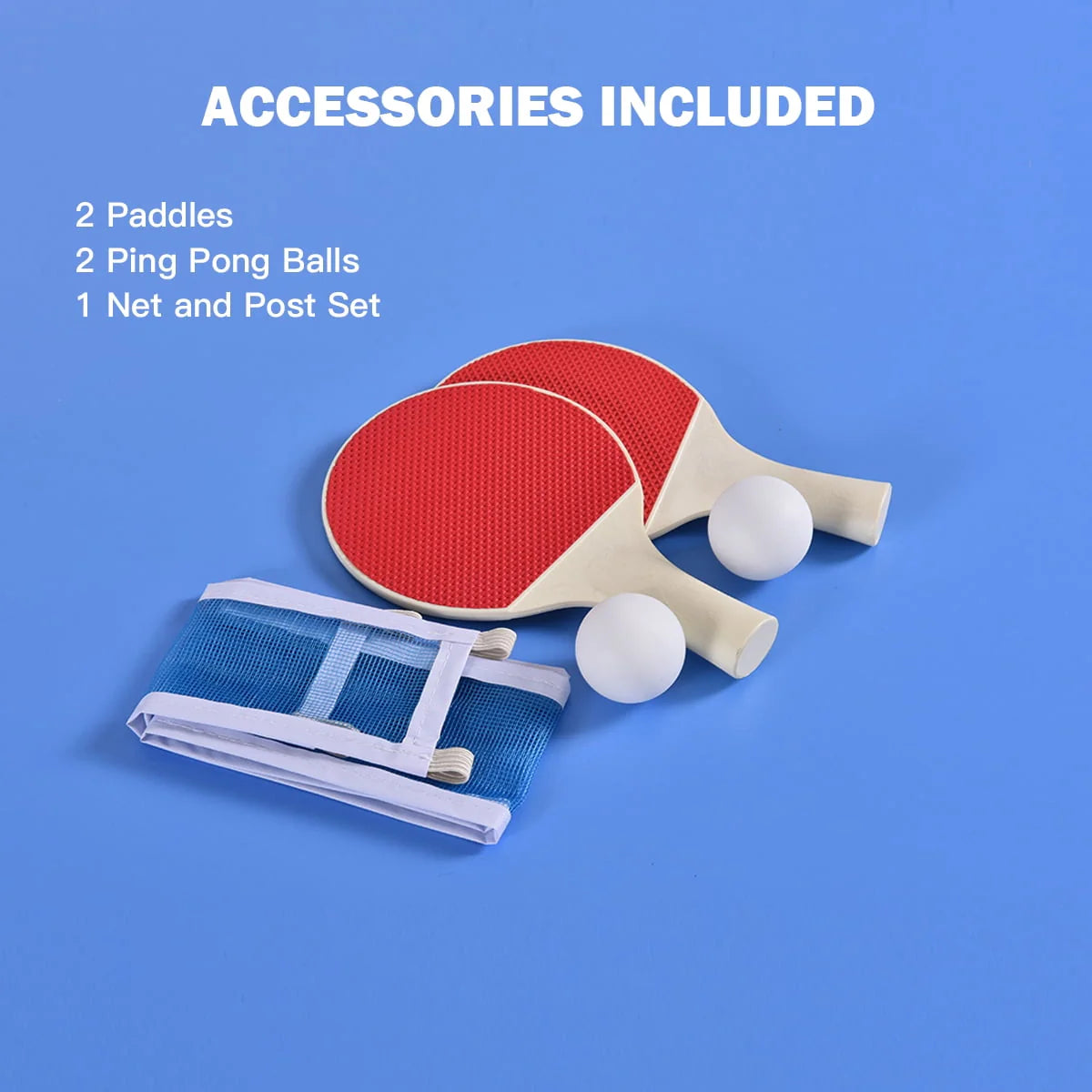 Portable Folding Table Tennis Table with Accessories R208