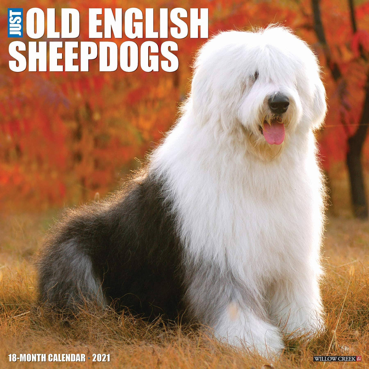 Old English Sheepdogs 2021 Wall Calendar R9936