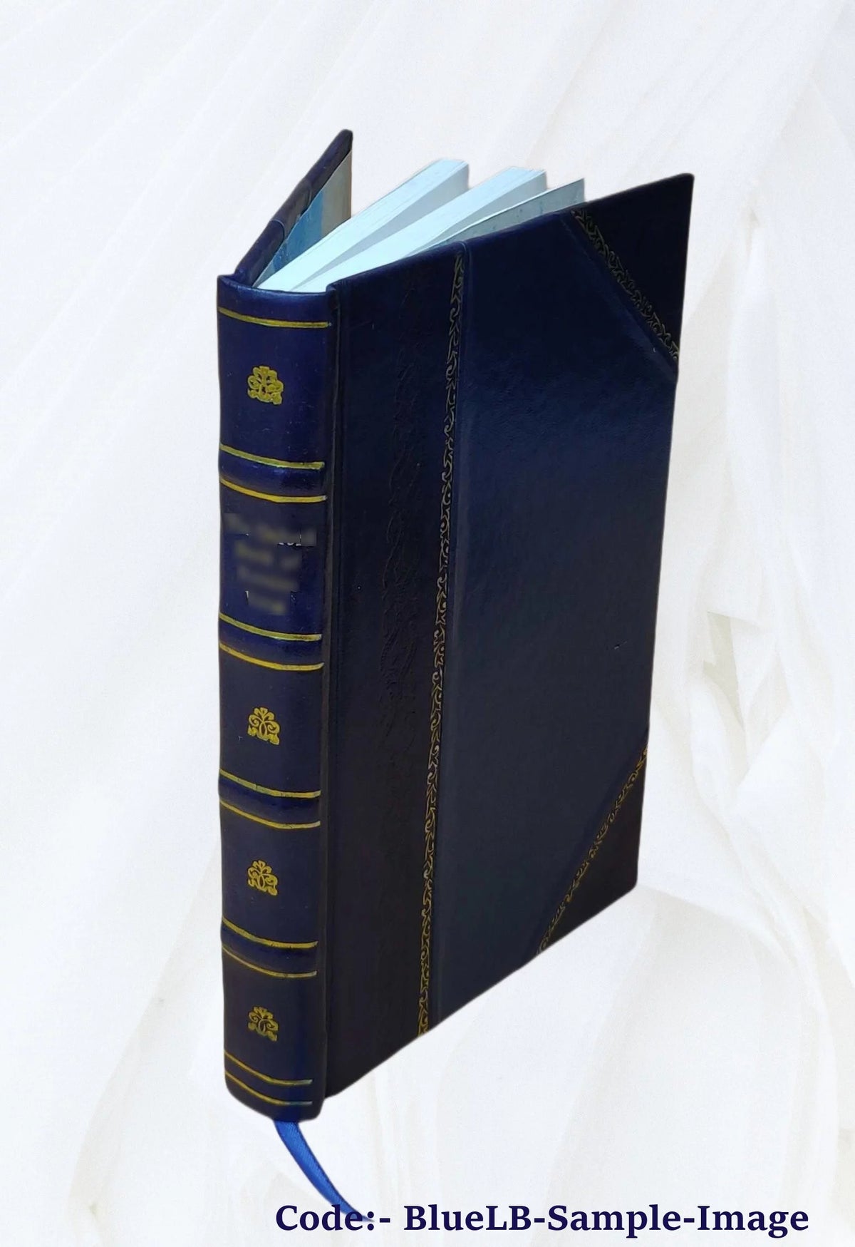 Leather Bound Book F970136