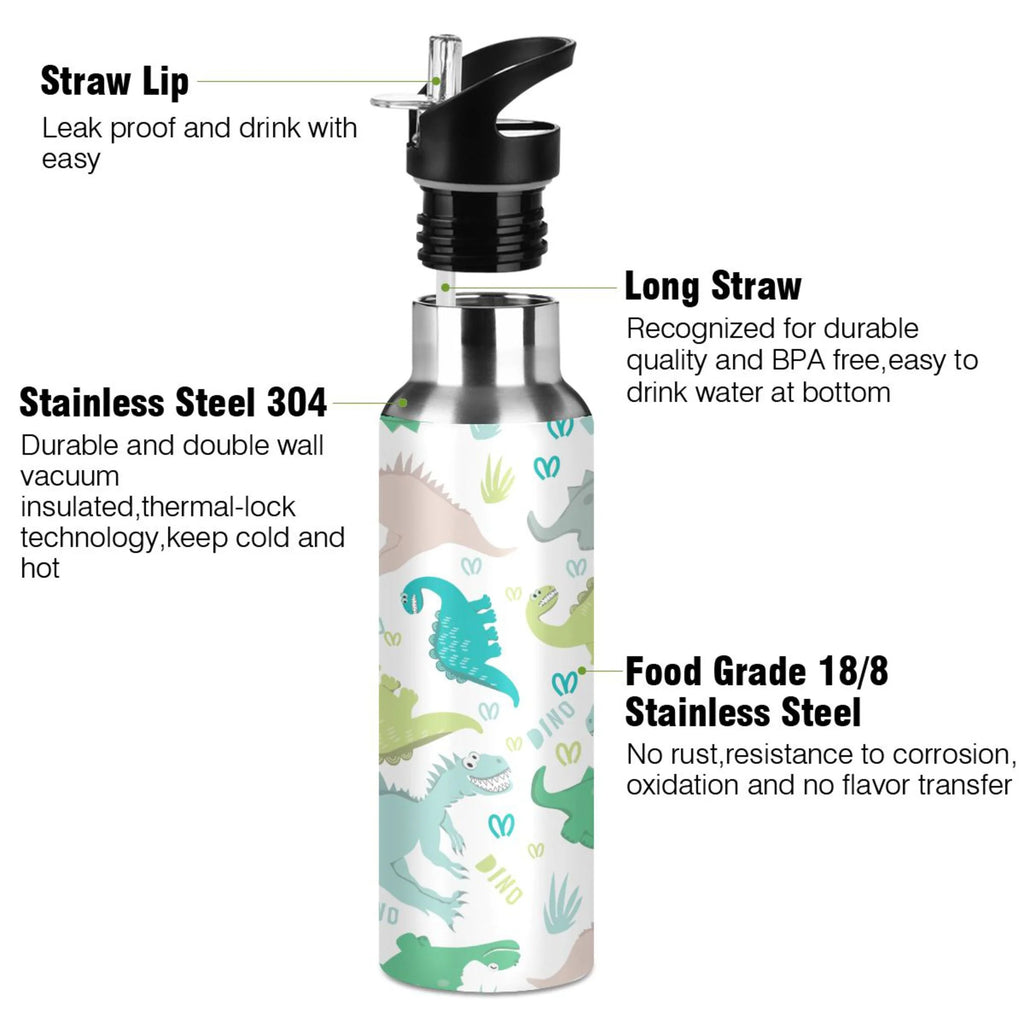 Stainless Steel Insulated Water Bottle with Straw Lid Z645