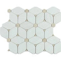 Polished Marble Mosaic Tile D995168
