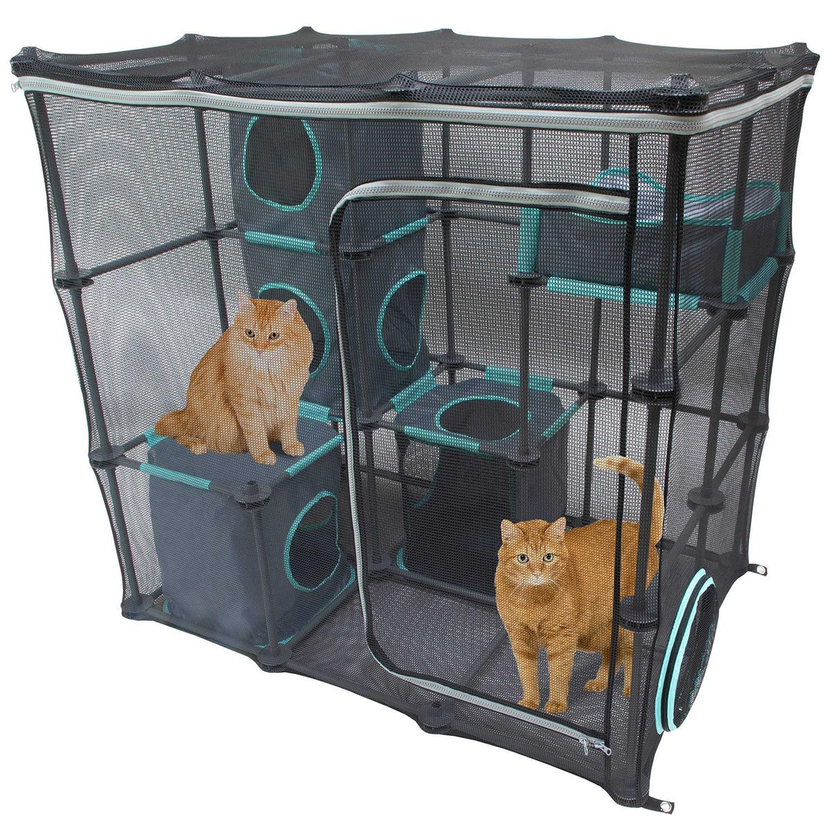 Indoor and Outdoor Cat Furniture X895