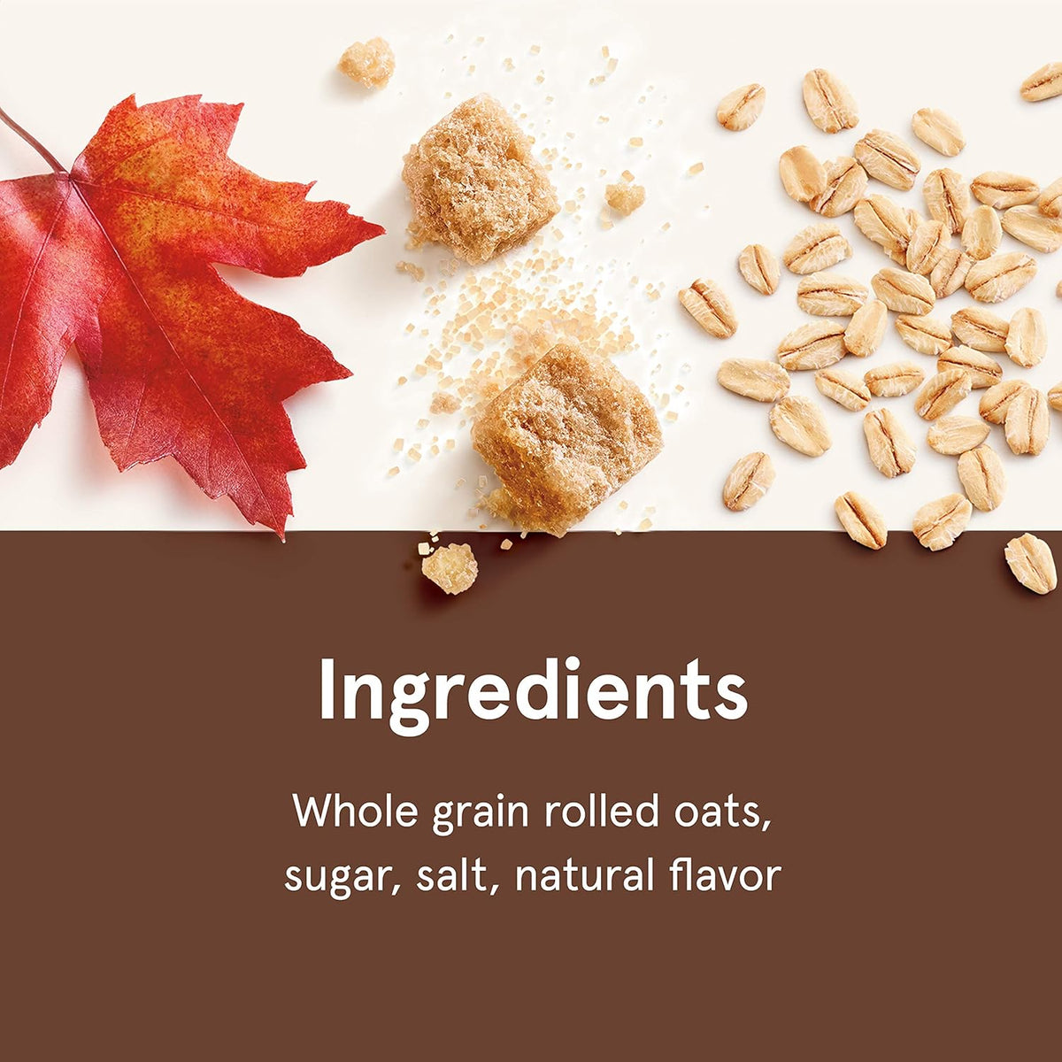 Maple Brown Sugar Instant Oatmeal 10 Ct L538
