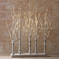 Lighted Birch Tree Forest 30x22 X806665
