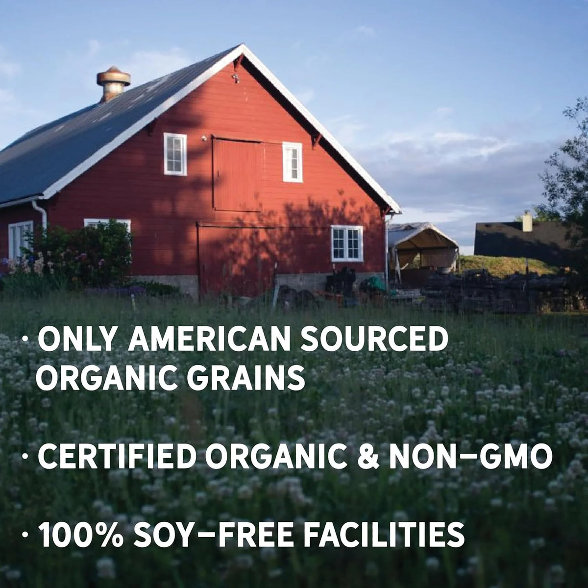 Corn-Free Soy-Free Organic Non-GMO 17% Protein Chicken Feed 25lb Bag G14043
