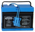 12-Volt Rechargeable Battery V119