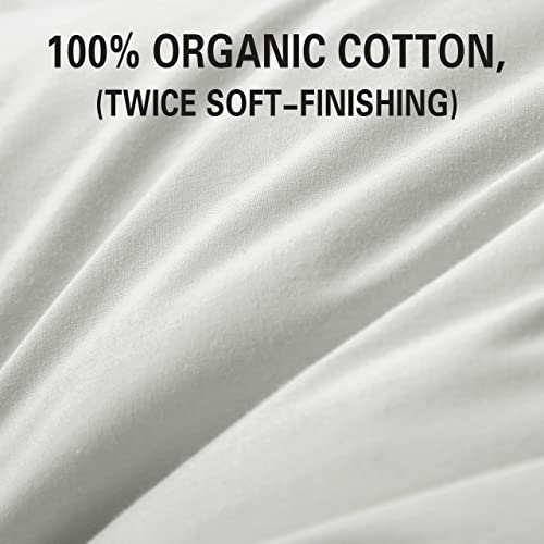 Queen Size 2 Pack Down Feather Pillow with 100% Cotton Cover W53777