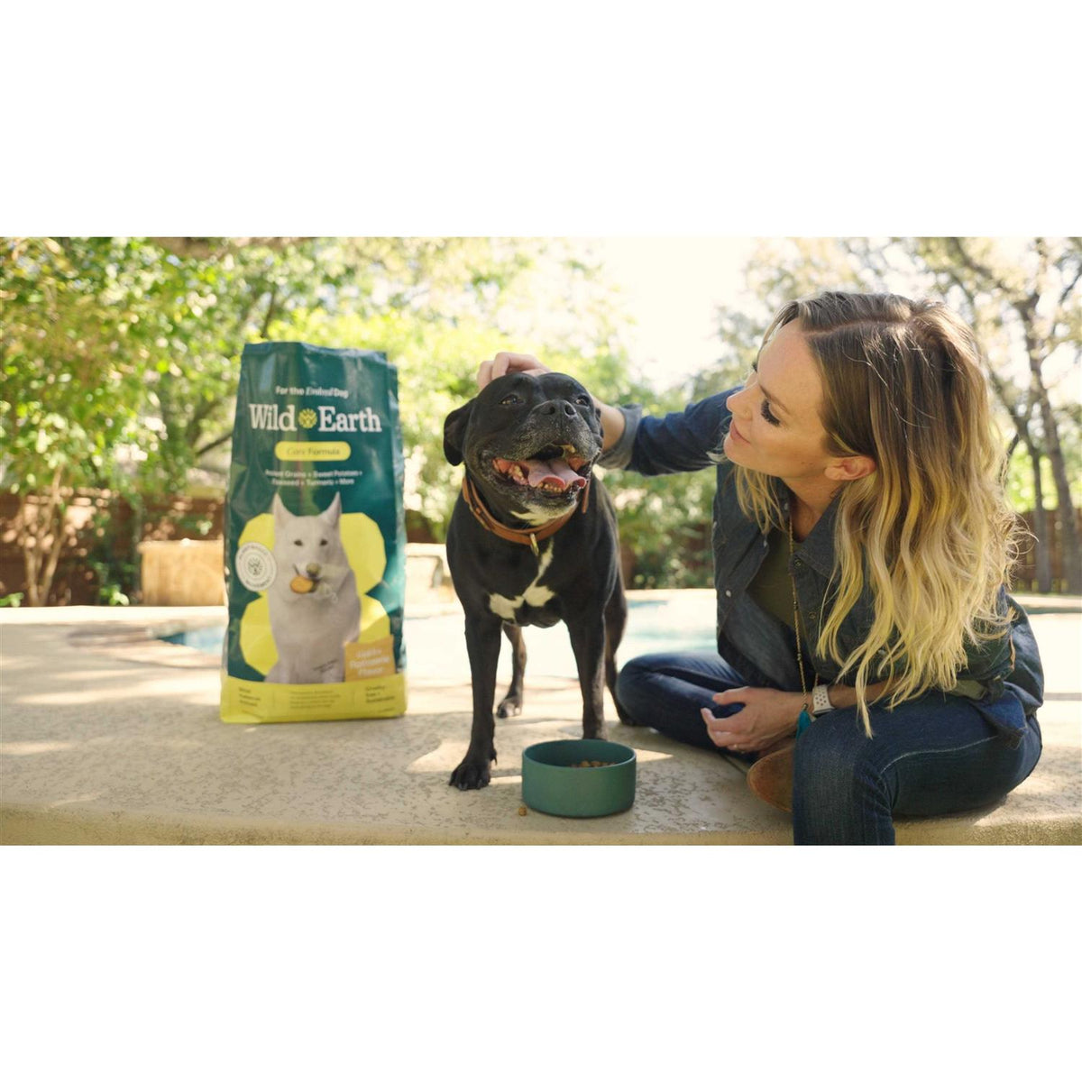 Golden Rotisserie Flavor Dry Dog Food Q878086