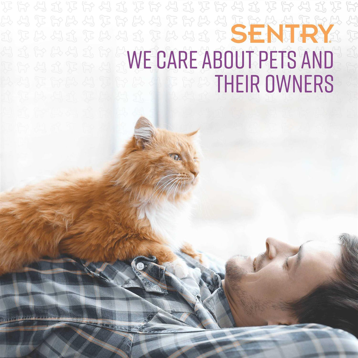 Calming Spray for Cats N343154
