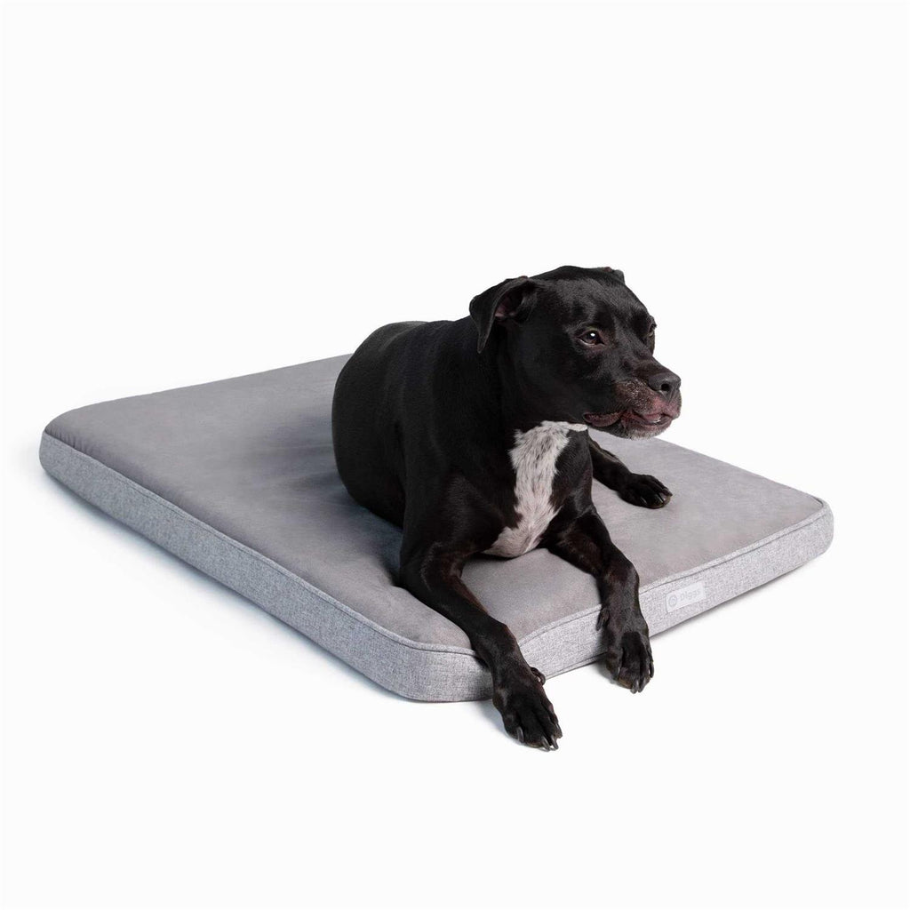Memory Foam Dog Bed J51767