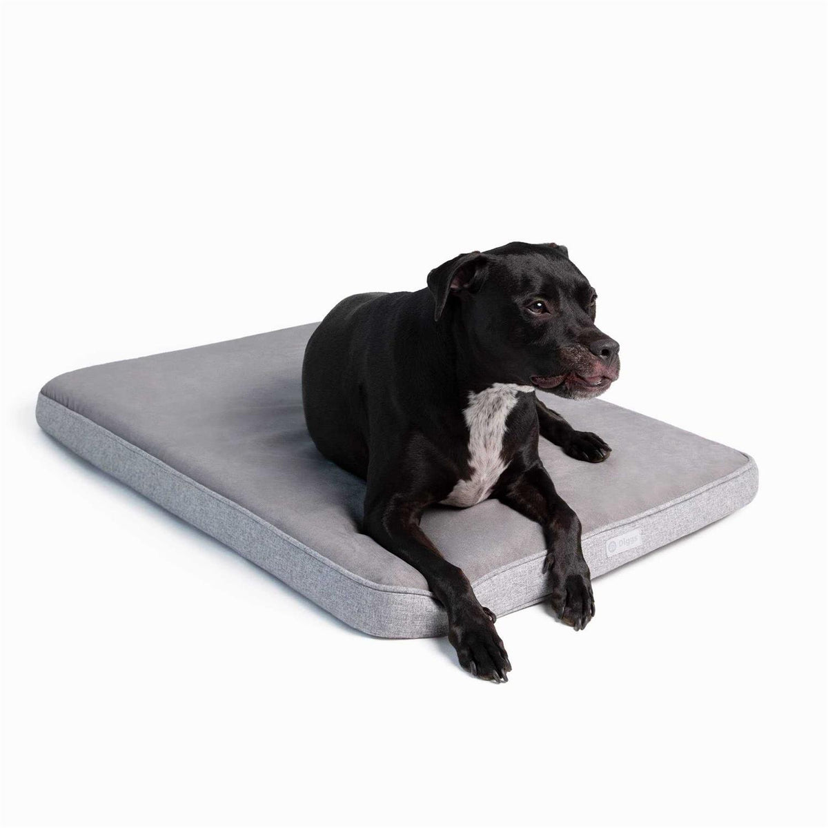 Memory Foam Dog Bed J51767