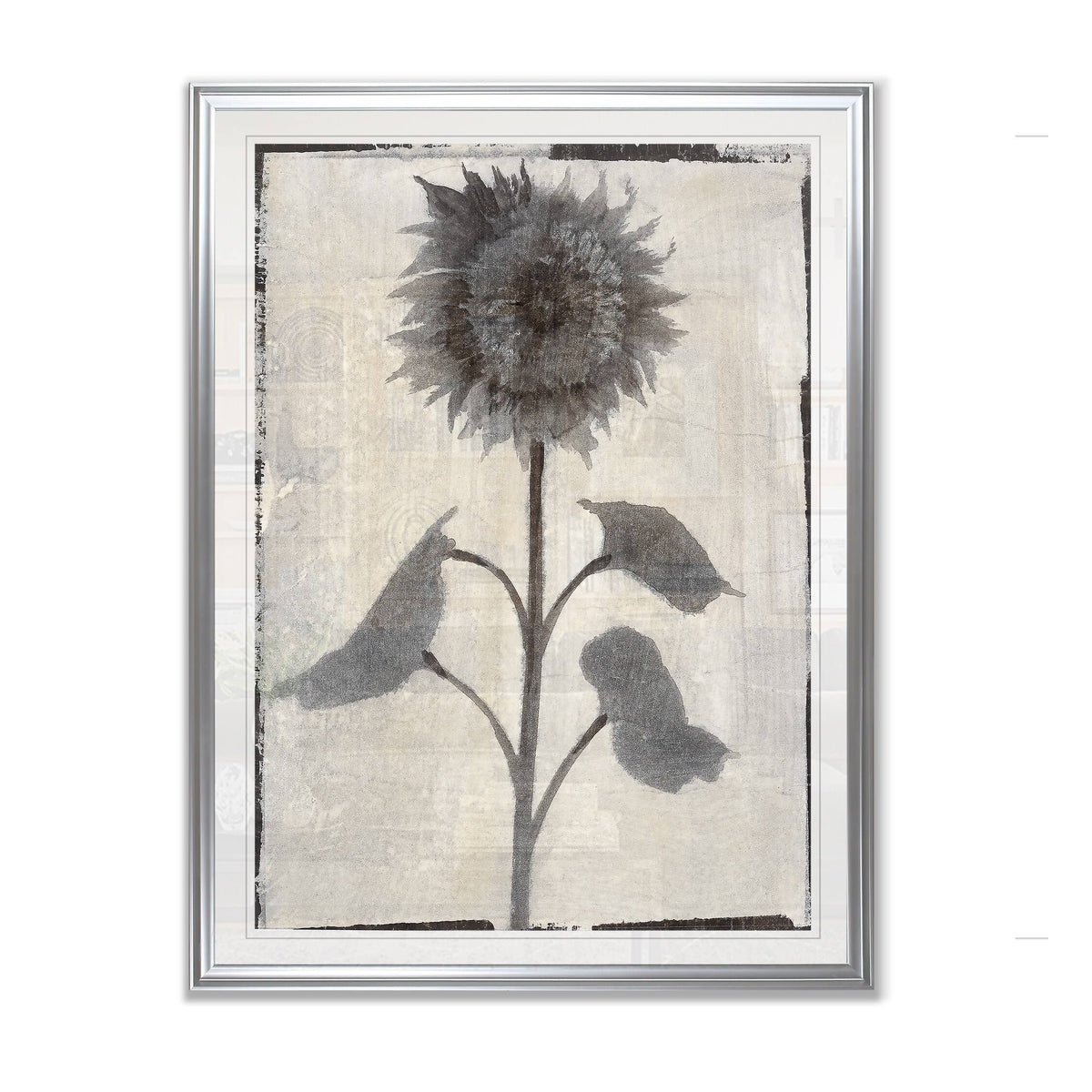 Framed Giclee Print 26x36 Q44143