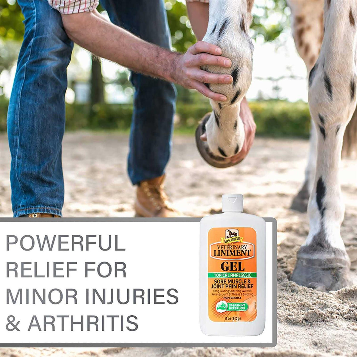 Absorbine Veterinary Liniment Gel G328