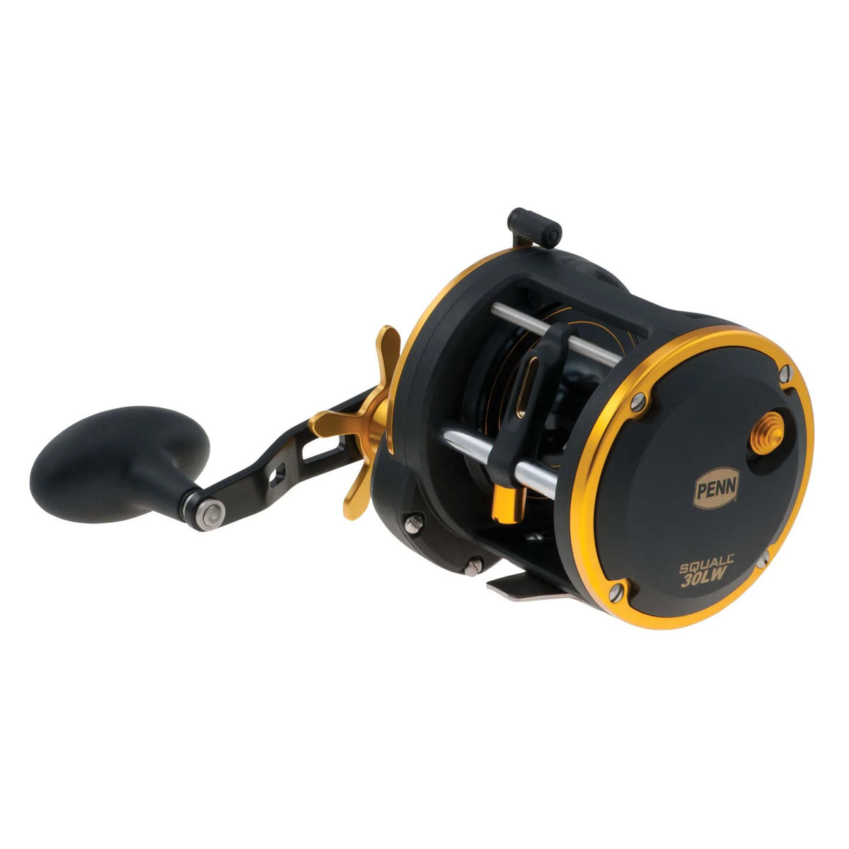Black & Gold Saltwater Trolling Fishing Reel C812