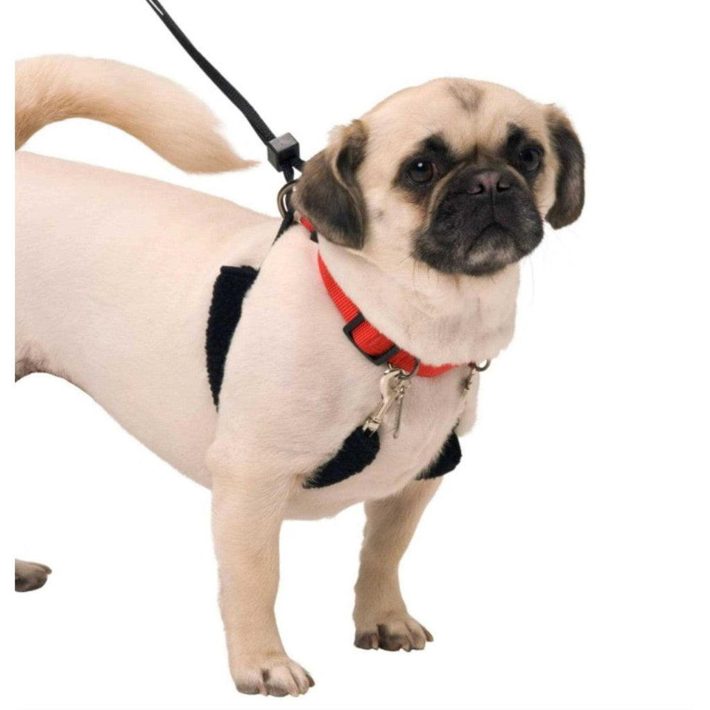 Training Halter I250