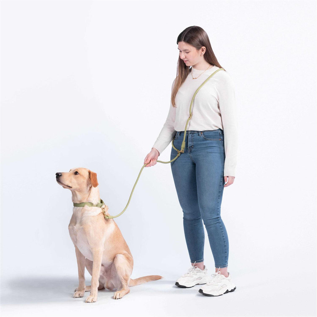 Pet Leash I8786