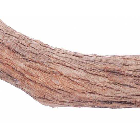 Hardwood Bird Perch S109888