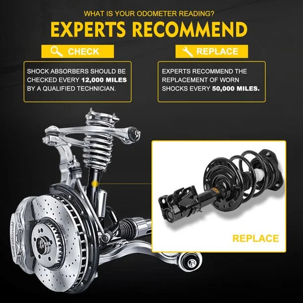 Front Left/Right Strut w/Coil Spring Assembly H841