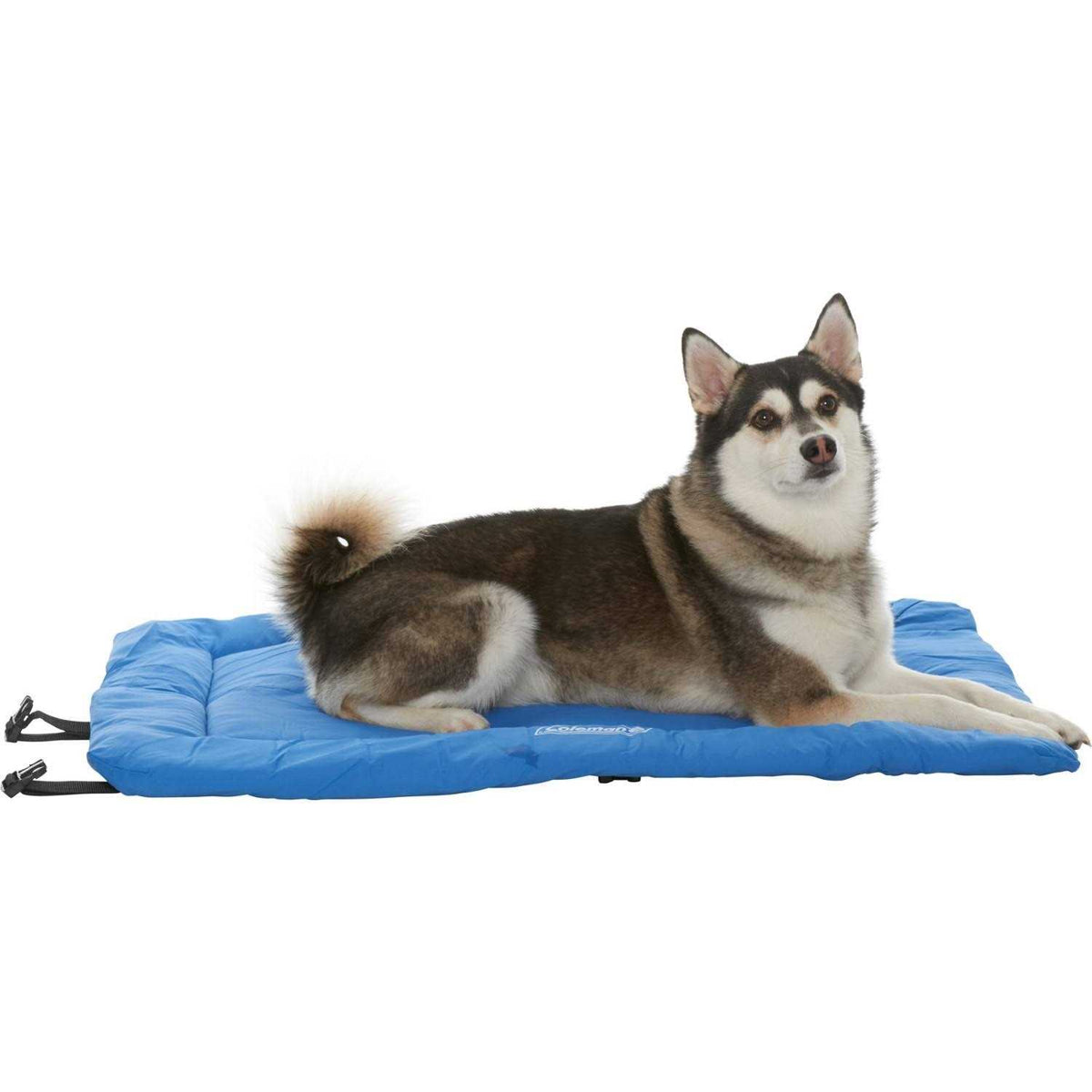 Roll-Up Travel Dog Bed K5517