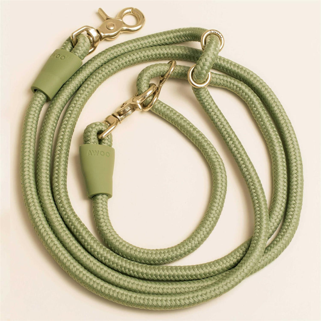 Pet Leash I8786
