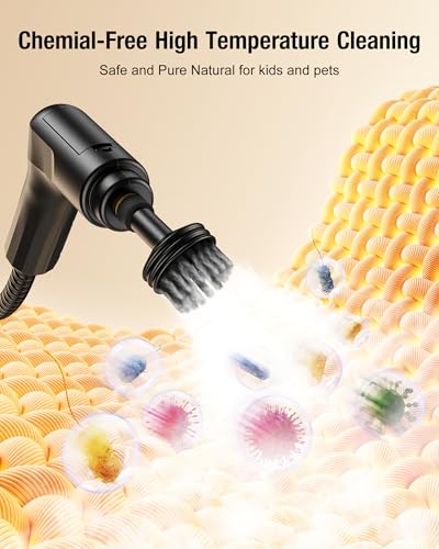 2500W Handheld Steam Cleaner L8778
