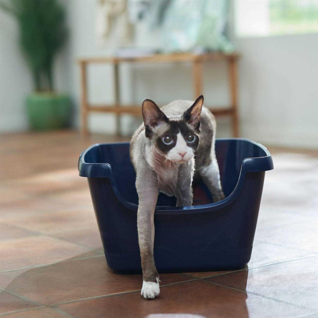 High Sided Cat Litter Box C826149