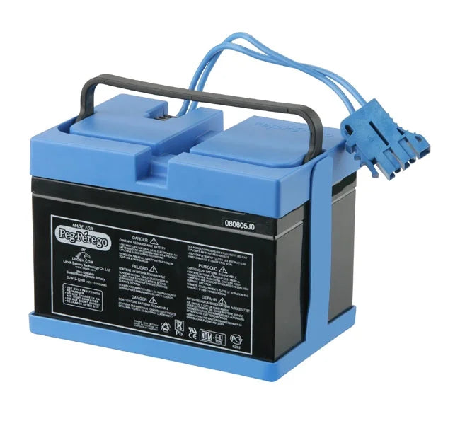 12-Volt Rechargeable Battery V119