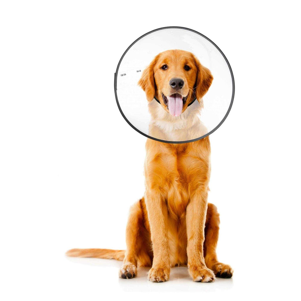 Clear Recovery Collar U12273