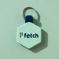 Digital Pet ID Tag L712383