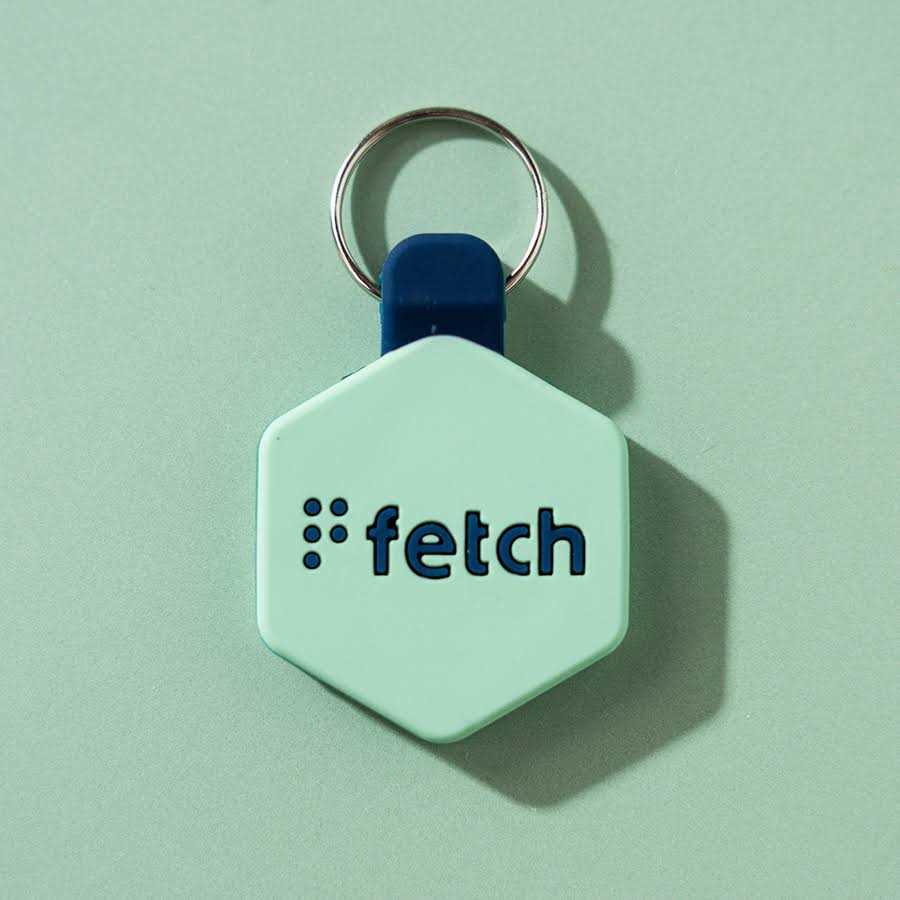 Digital Pet ID Tag L712383