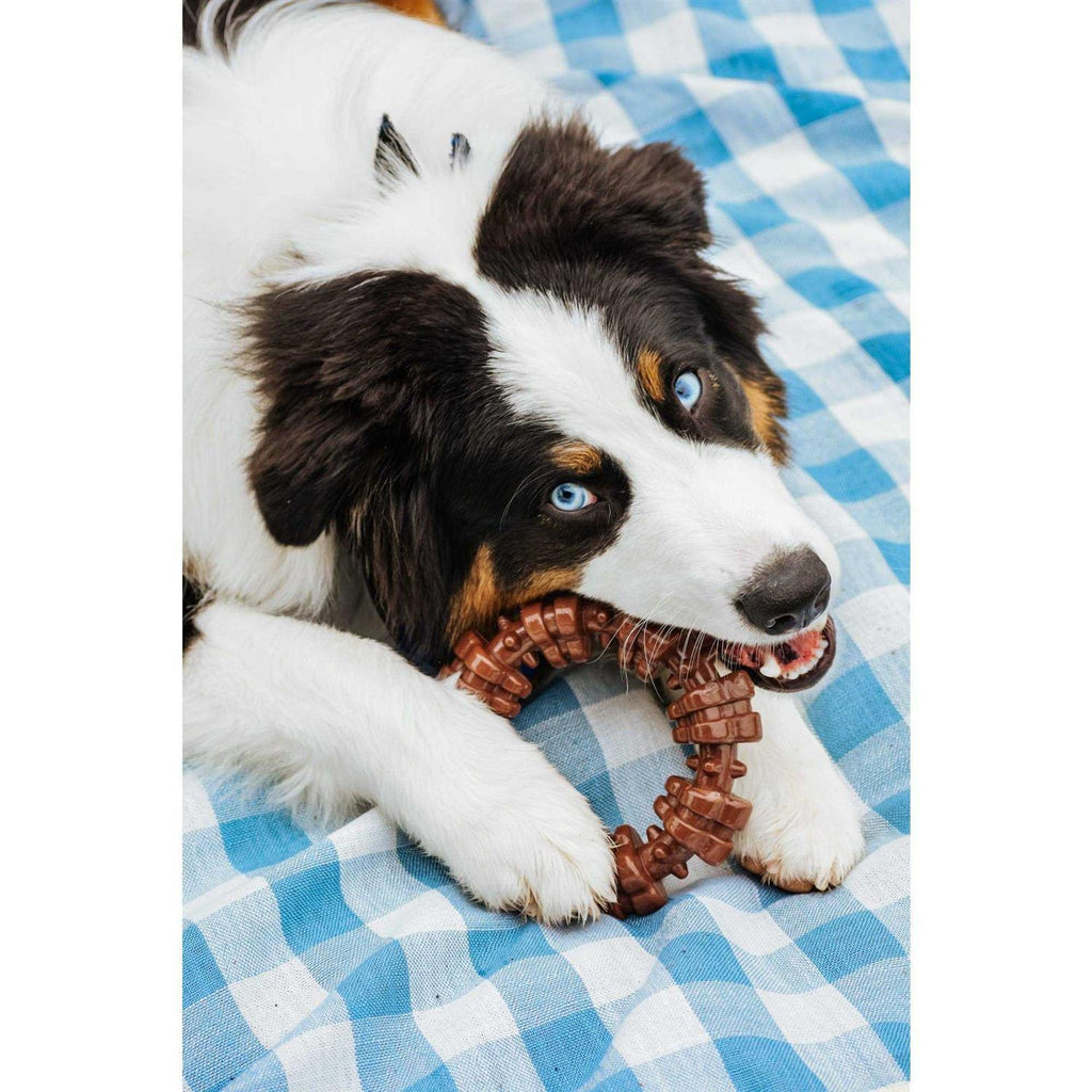 Textured Chew Ring G972