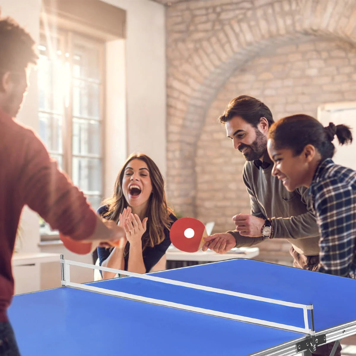 Portable Folding Table Tennis Table with Accessories R208