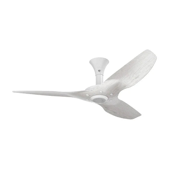 60 Ceiling Fan with LED O7900