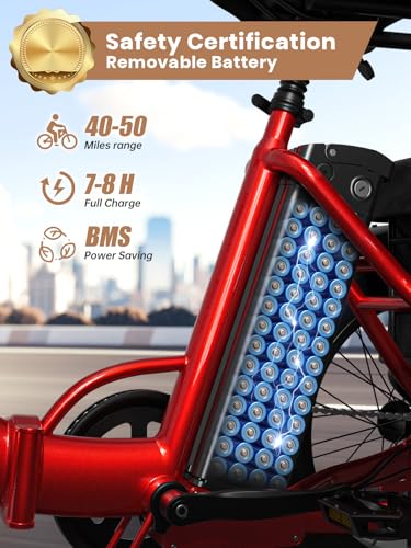 Electric Trike 20" Fat Tire 3 Wheel Folding Electric Tricycle I502