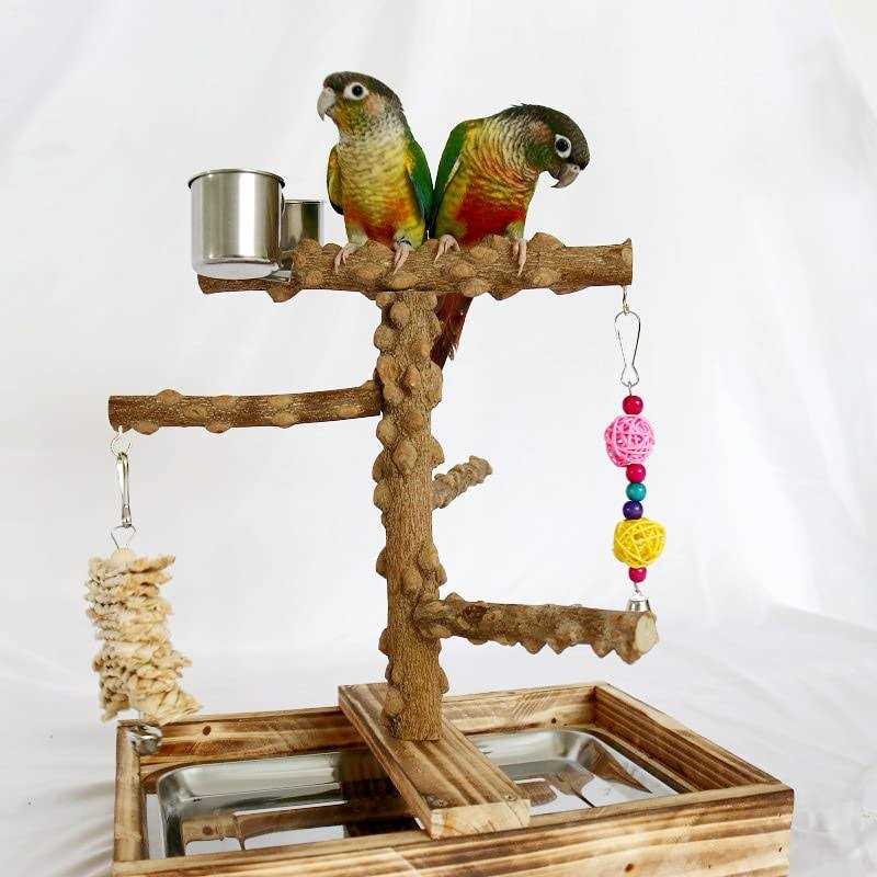 Wood Bird Perch Platform Stand P945431