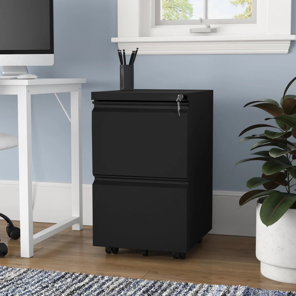 2-Drawer Locking Steel File Cabinet P63279