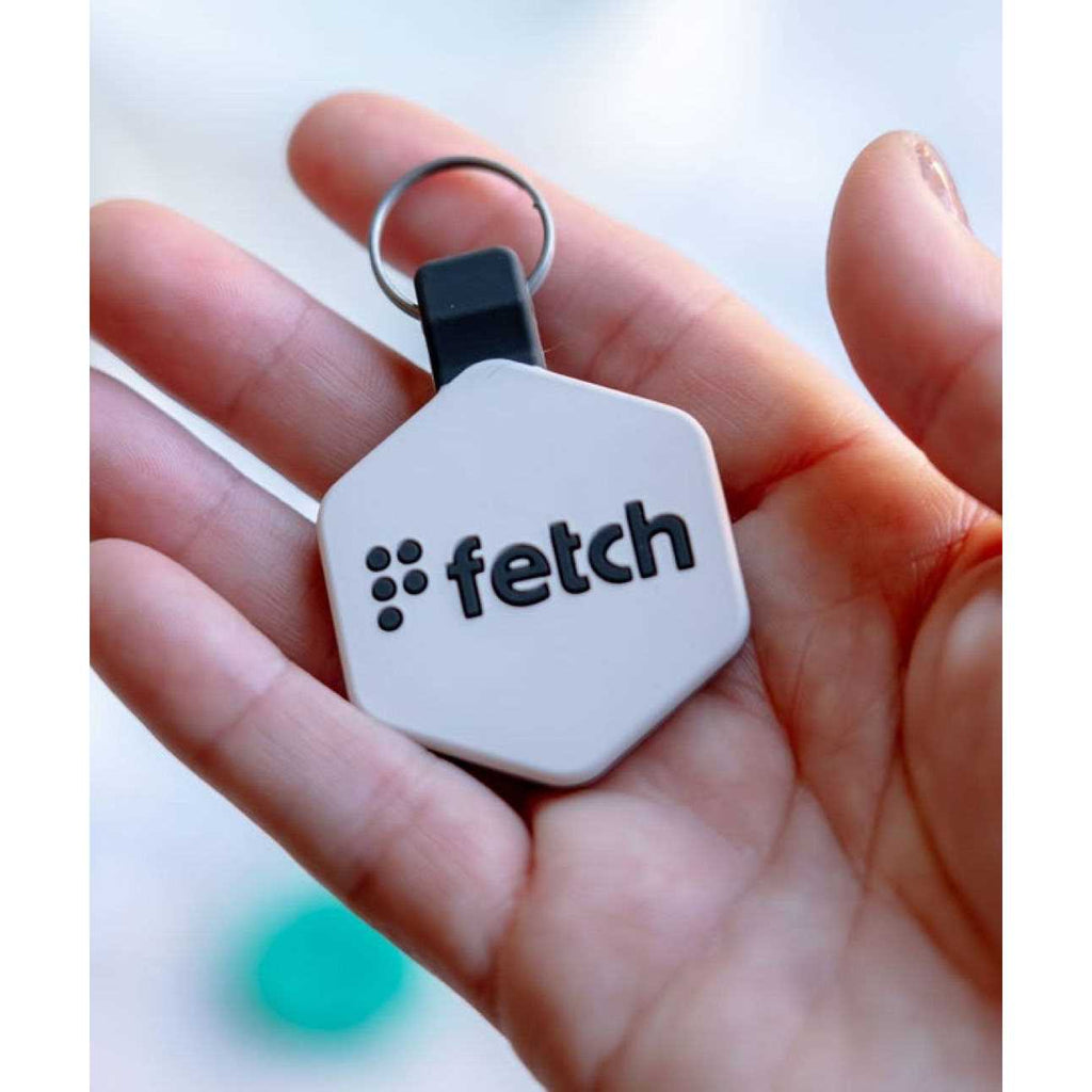 Digital Pet ID Tag L712383