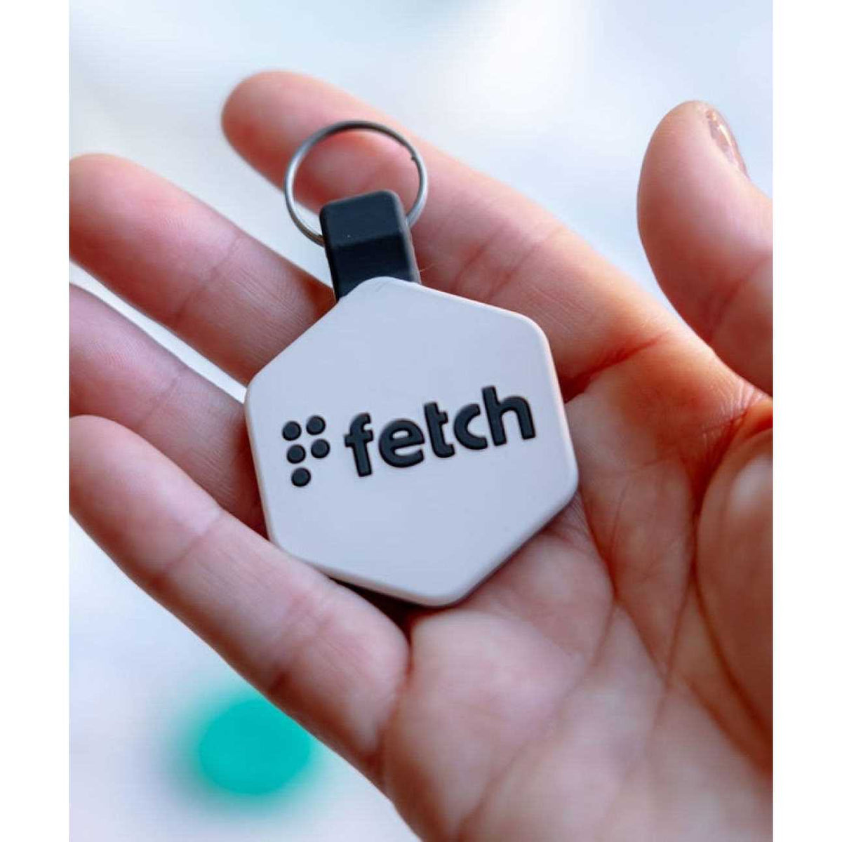 Digital Pet ID Tag L712383