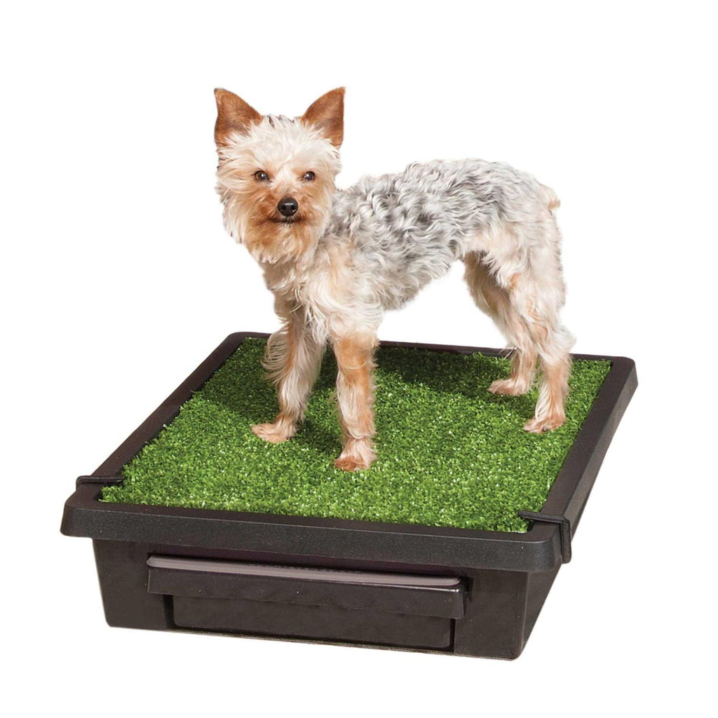Pet Loo Y577