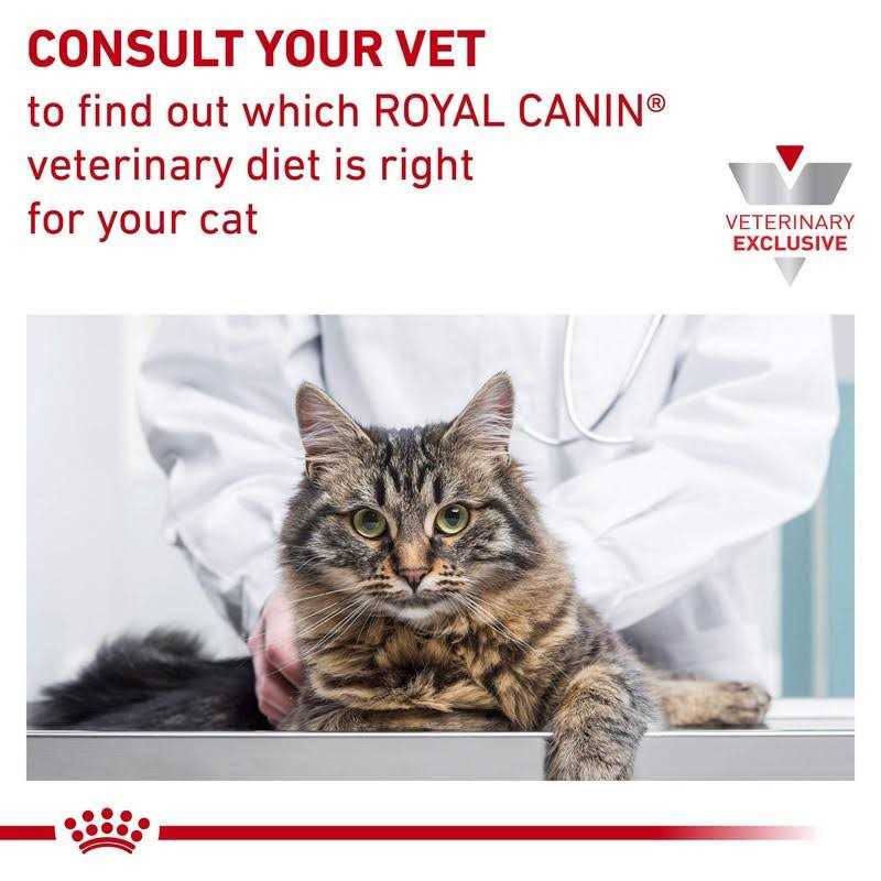 Veterinary Diet Feline Gastrointestinal Kitten Dry Cat Food S9550