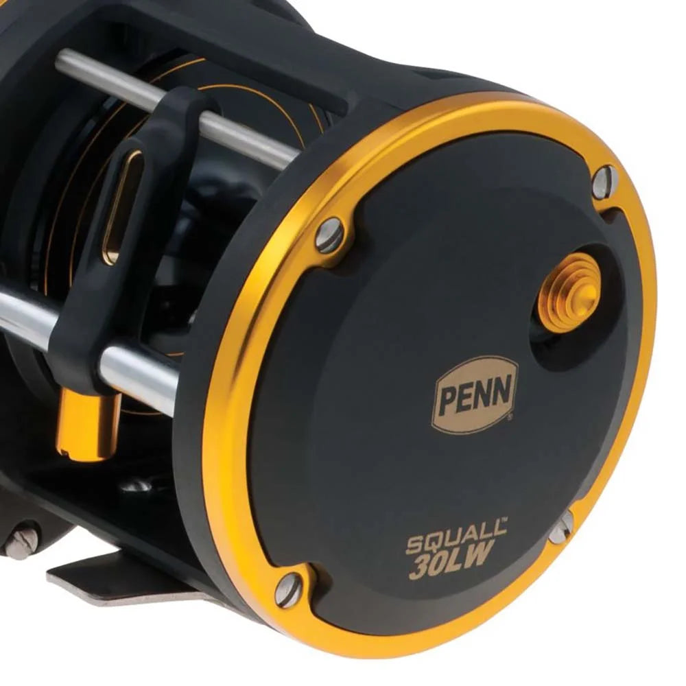 Black & Gold Saltwater Trolling Fishing Reel C812