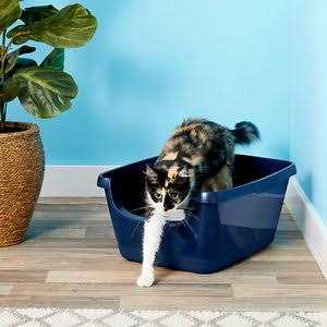 High Sided Cat Litter Box C826149
