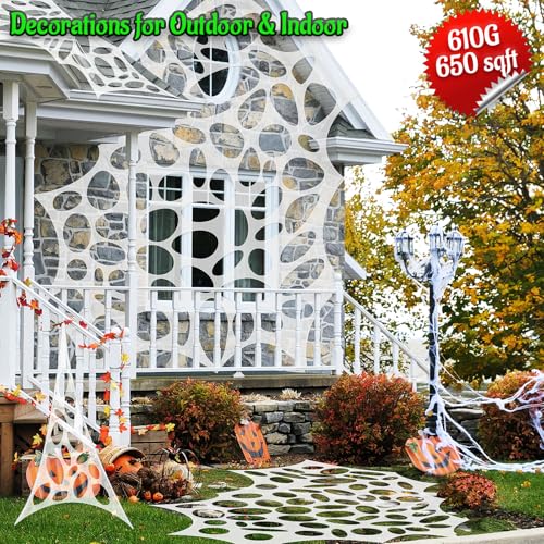 Halloween Mask and Giant Spider Web D3323