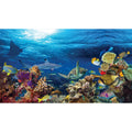 Reversible Aquarium Tank Background O315209